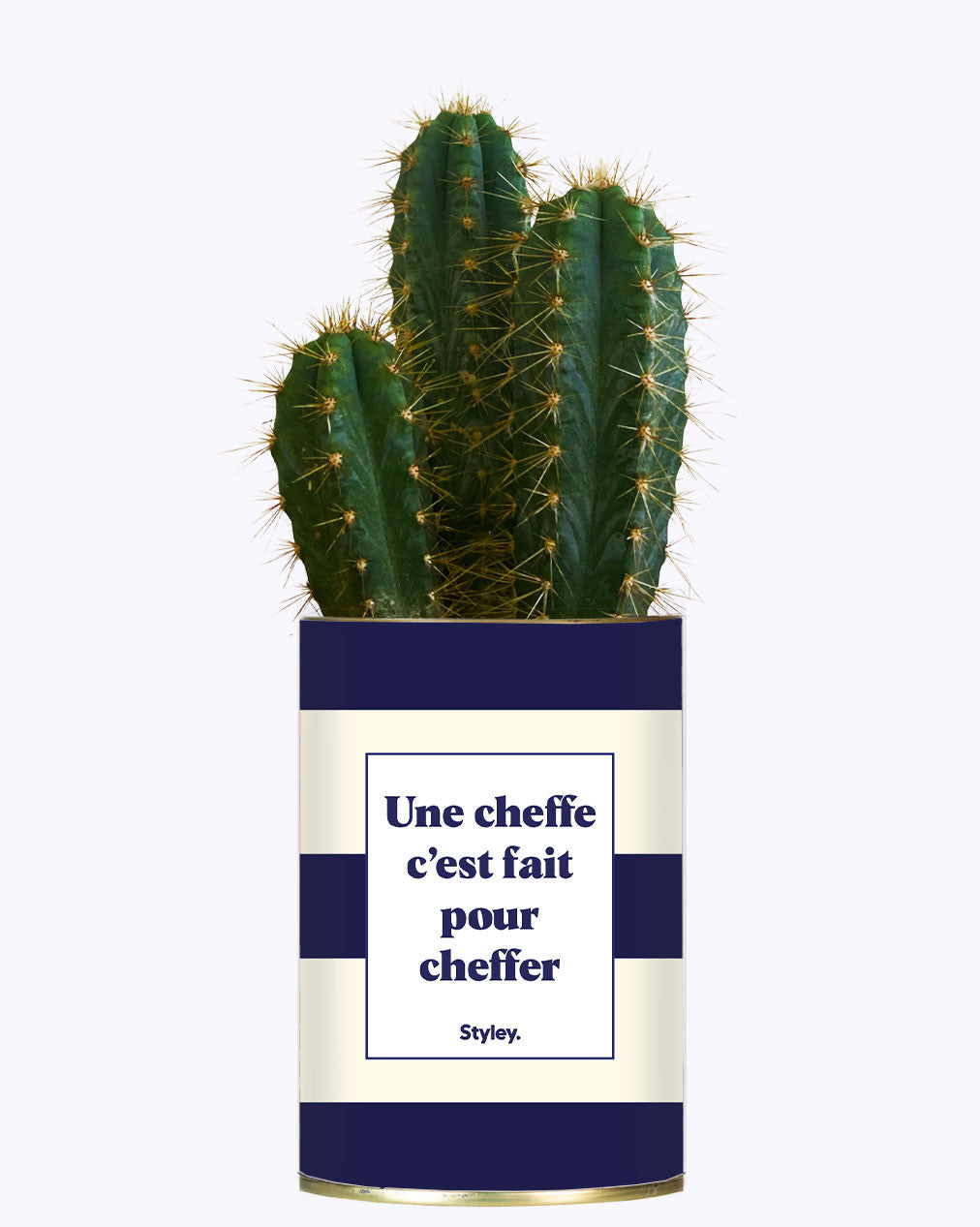 Une cheffe c'est fait pour cheffer - Cactus