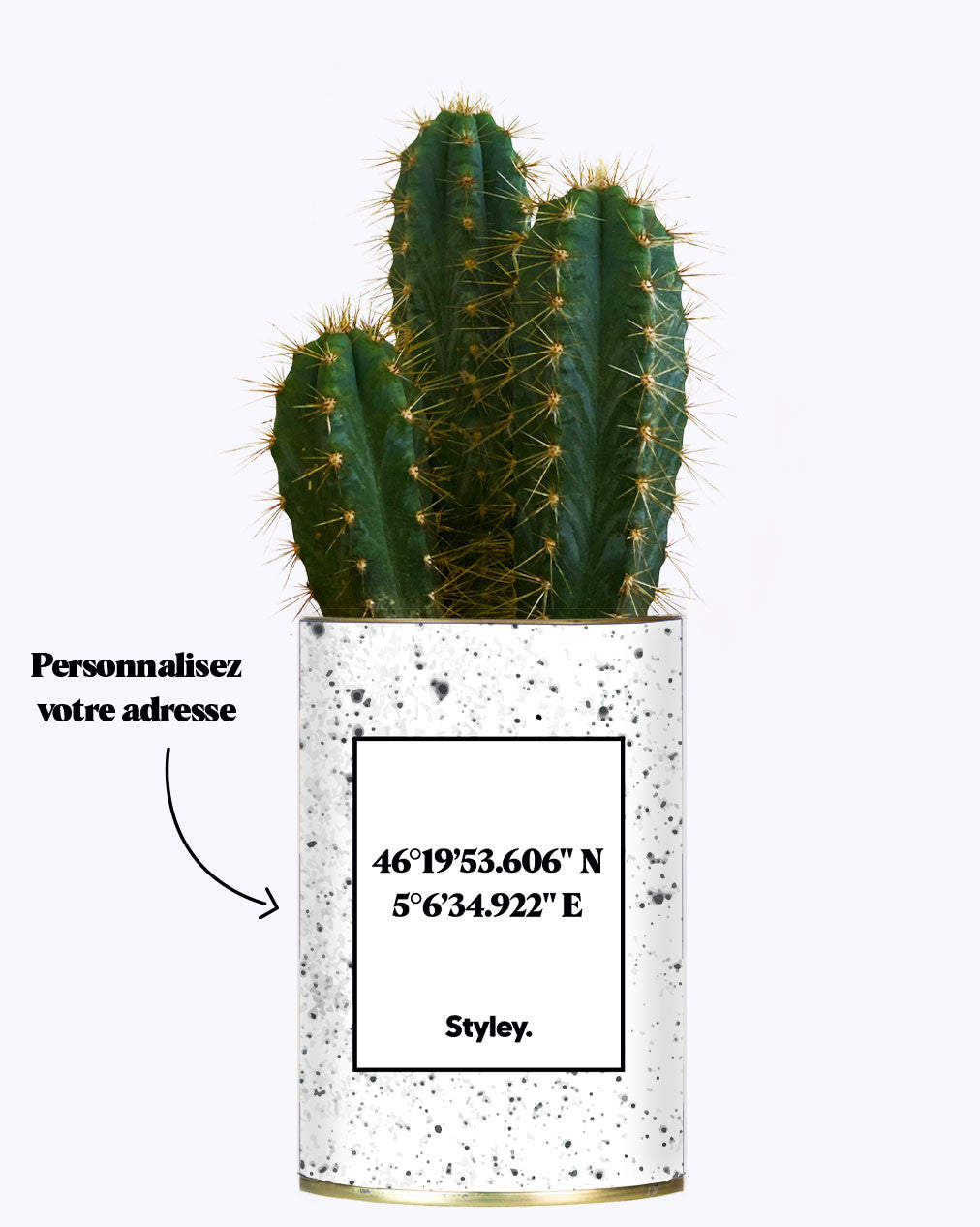 Coordonnées personnalisables - Cactus