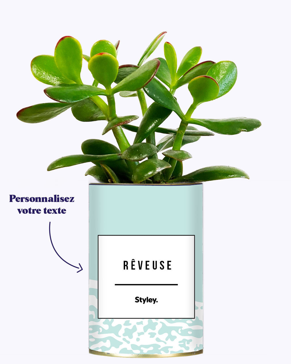 Adjectif personnalisable bleu - Cactus