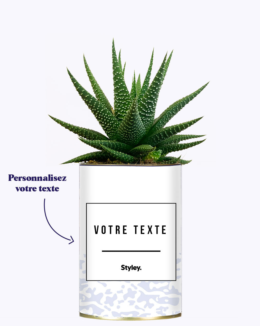 Adjectif personnalisable violet - Cactus
