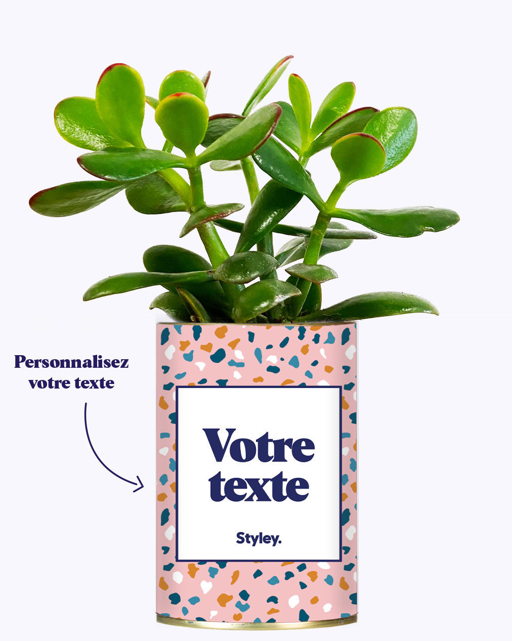 Cactus Bichette - Personnalisable