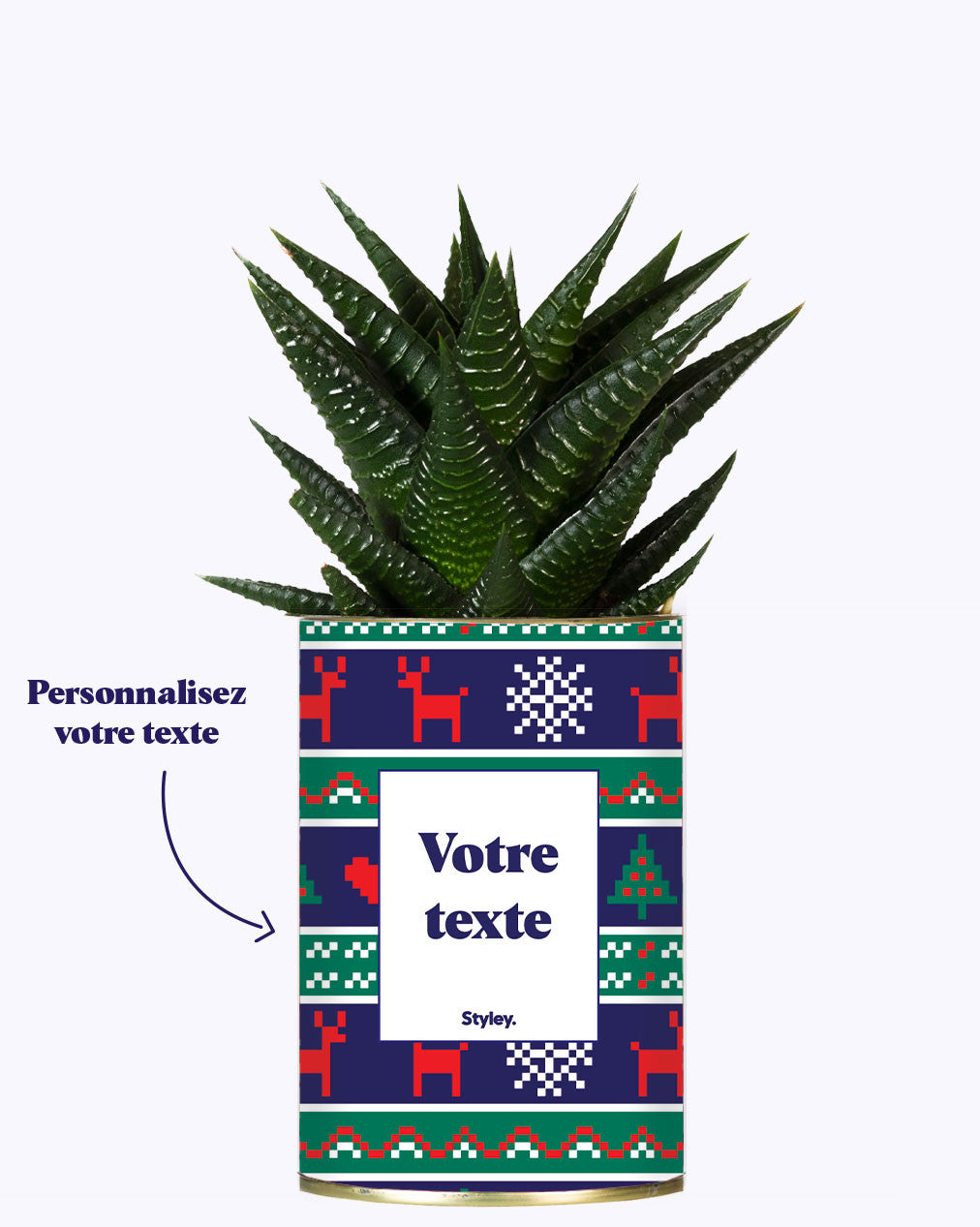 Plante de Noël Personnalisable - Cactus