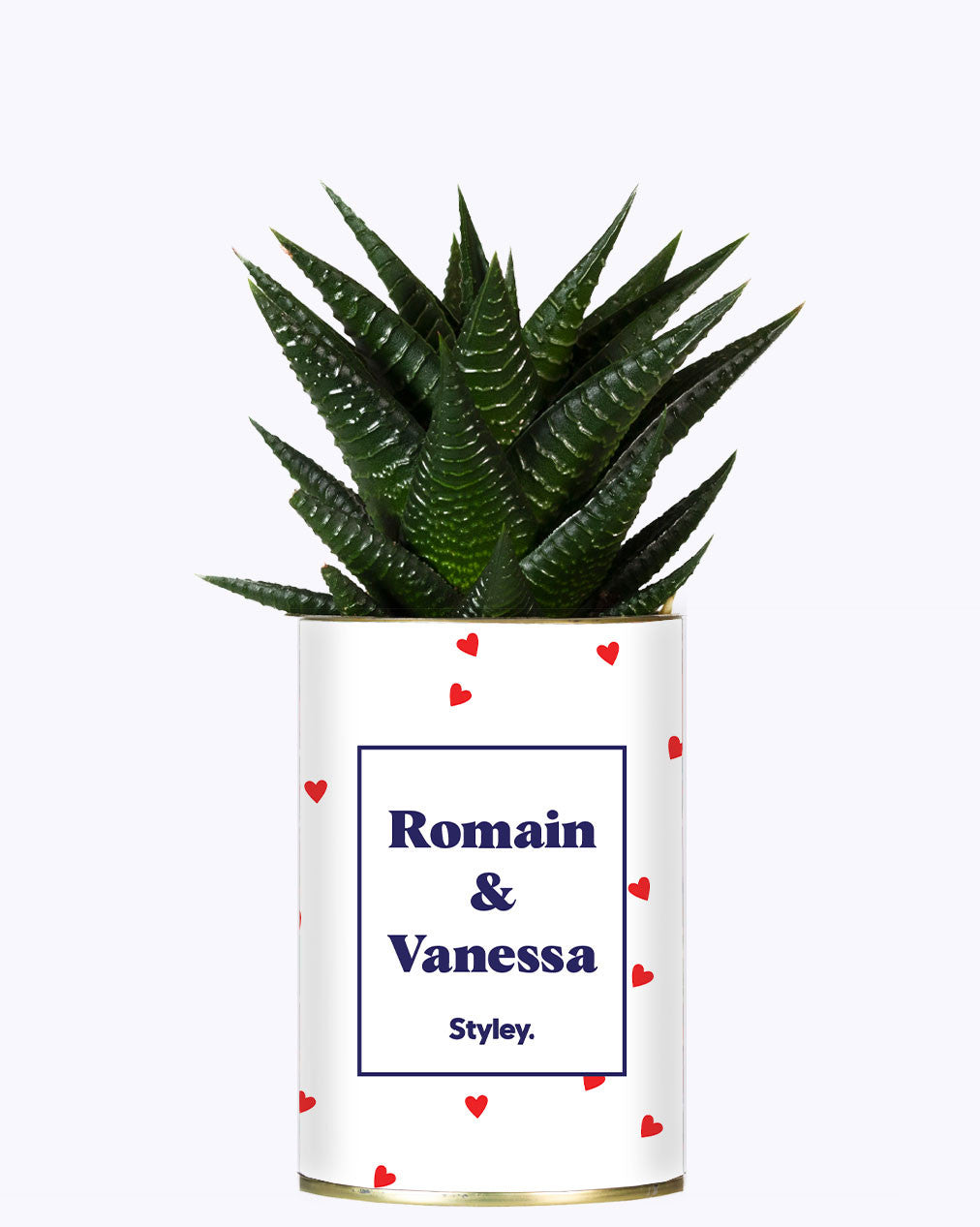 Plante Coup de foudre personnalisable - Cactus