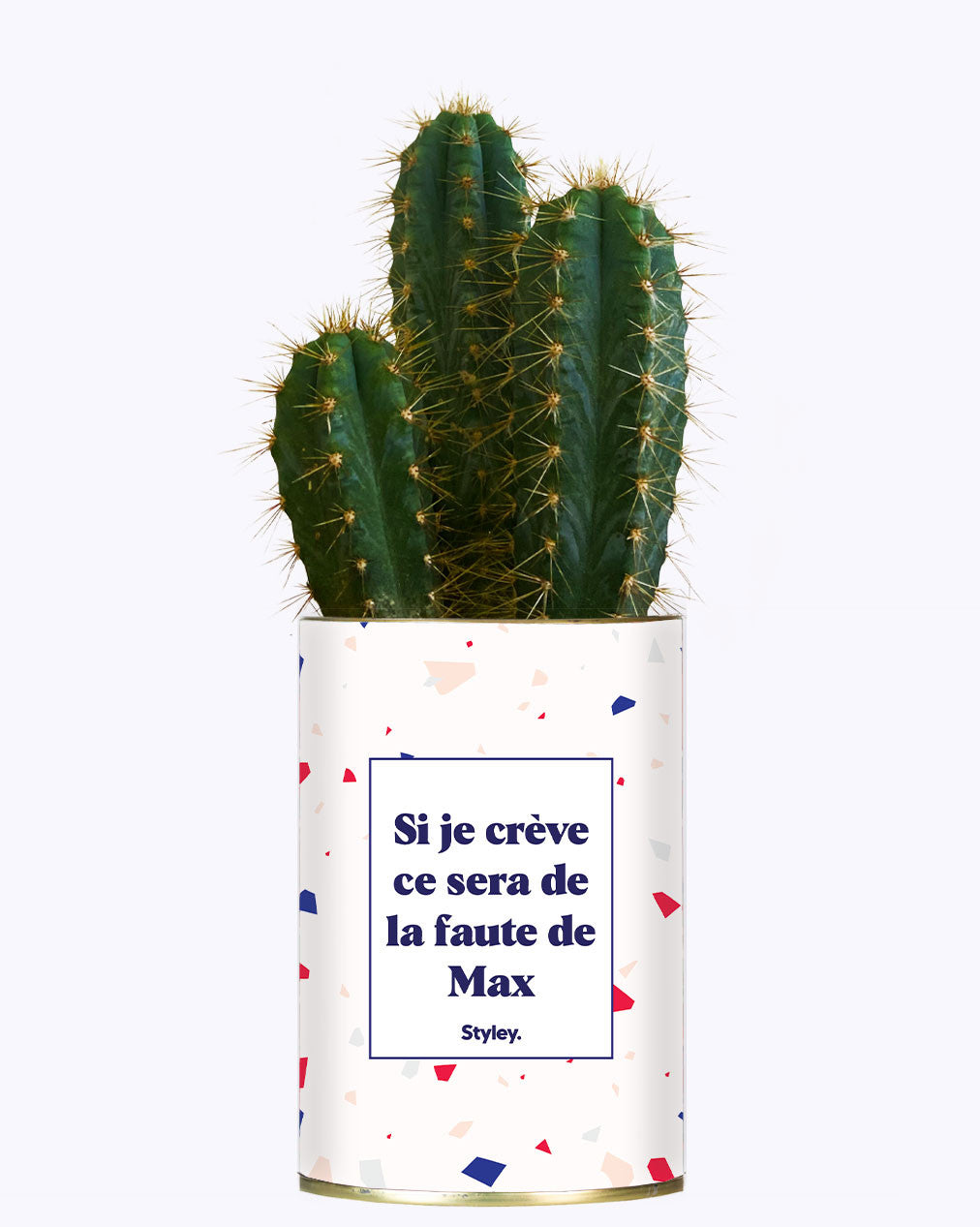 Si je crève personnalisable - Cactus
