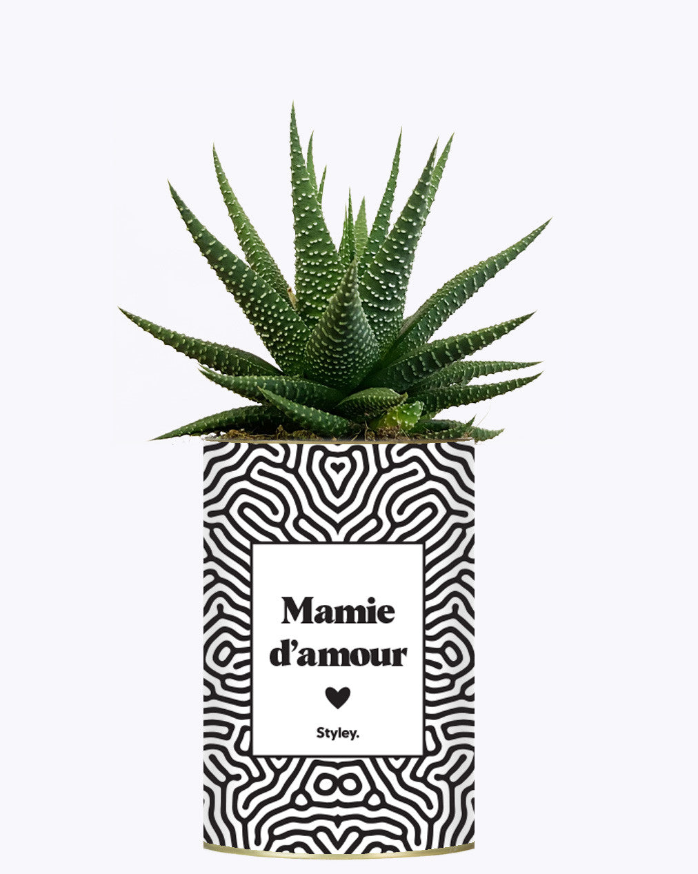 Mamie d'amour - Cactus