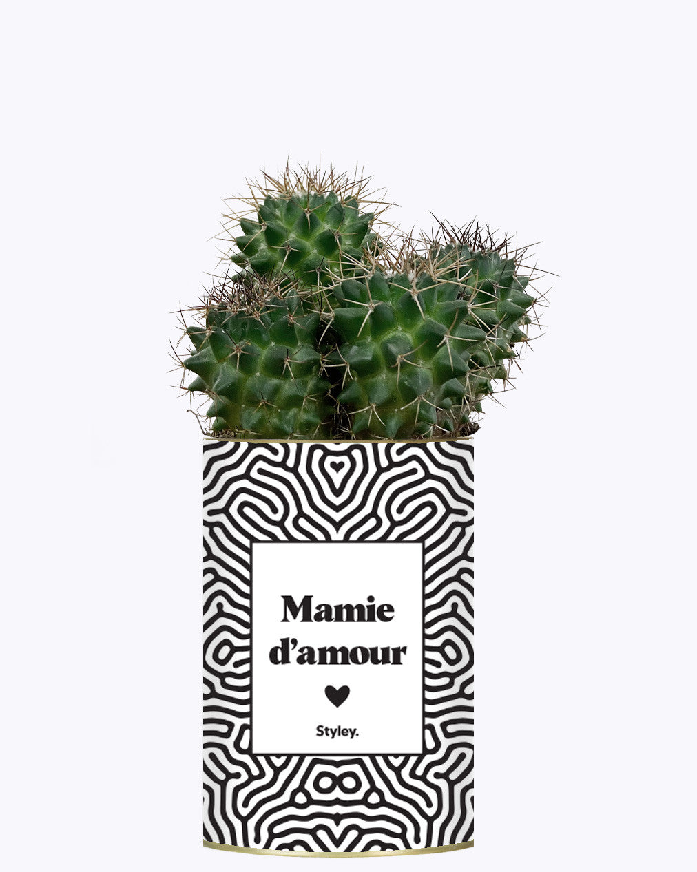 Mamie d'amour - Cactus