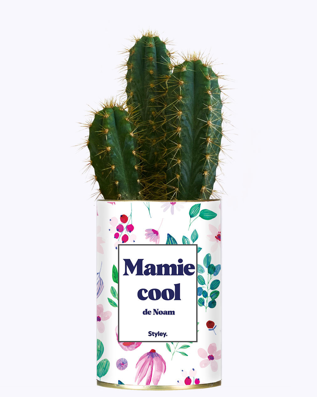 Mamie cool personnalisable - Cactus