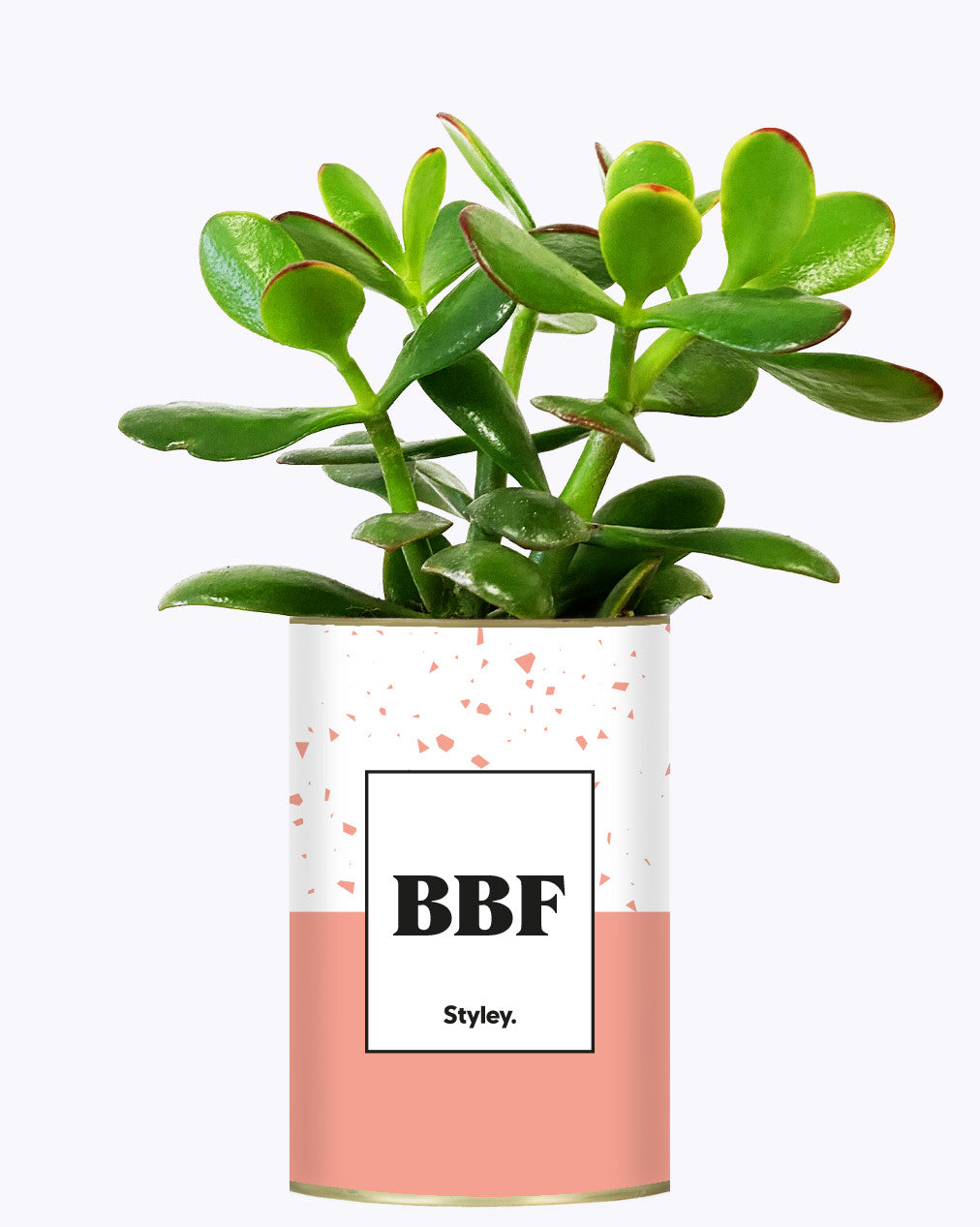 BFF - Plante
