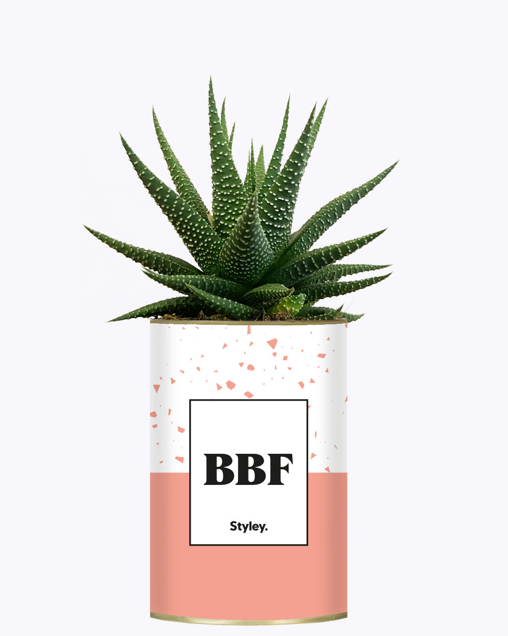 BFF - Plante