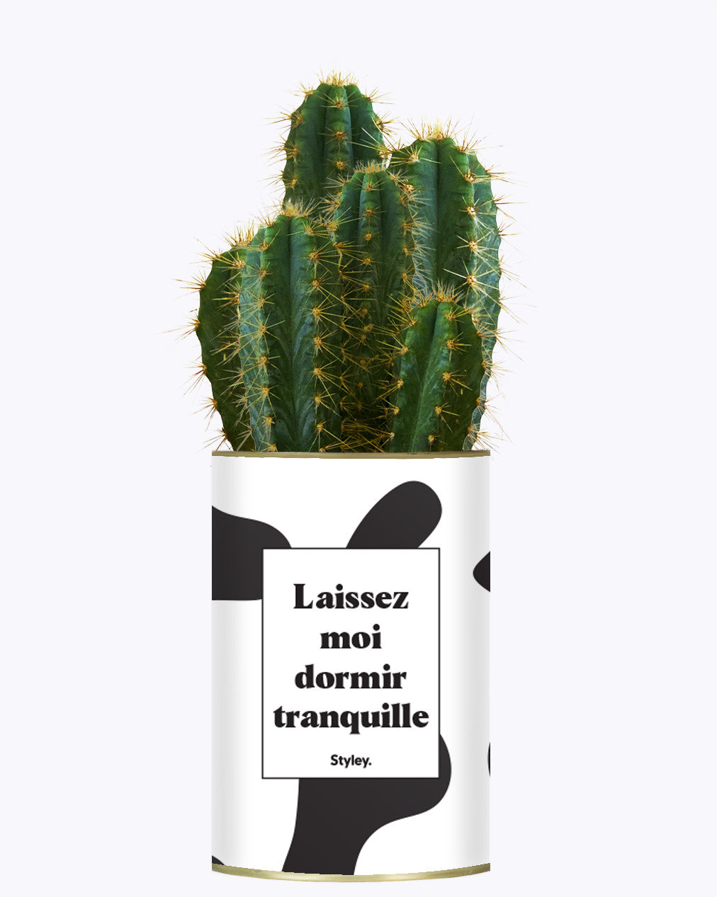 Laissez moi dormir tranquille - Plante