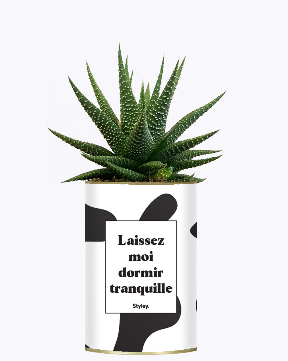 Laissez moi dormir tranquille - Plante