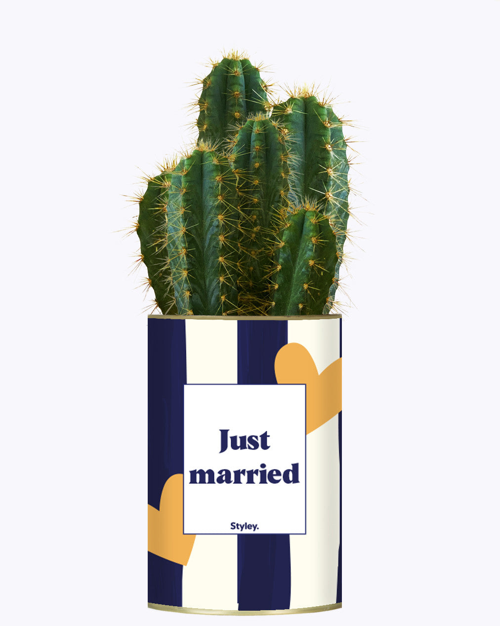 Just married - Plante