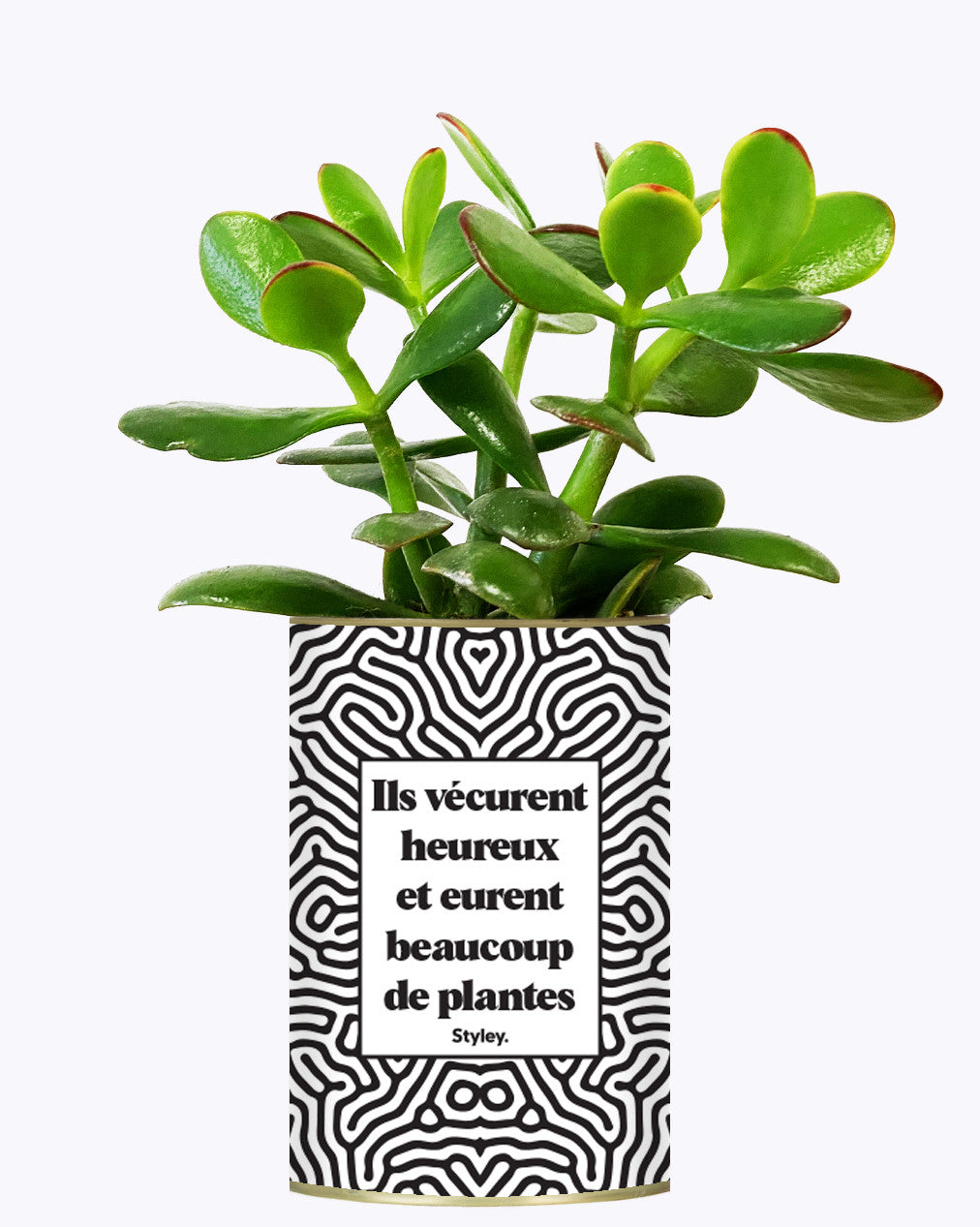 Ils vécurent heureux et eurent beaucoup de plantes - Plante