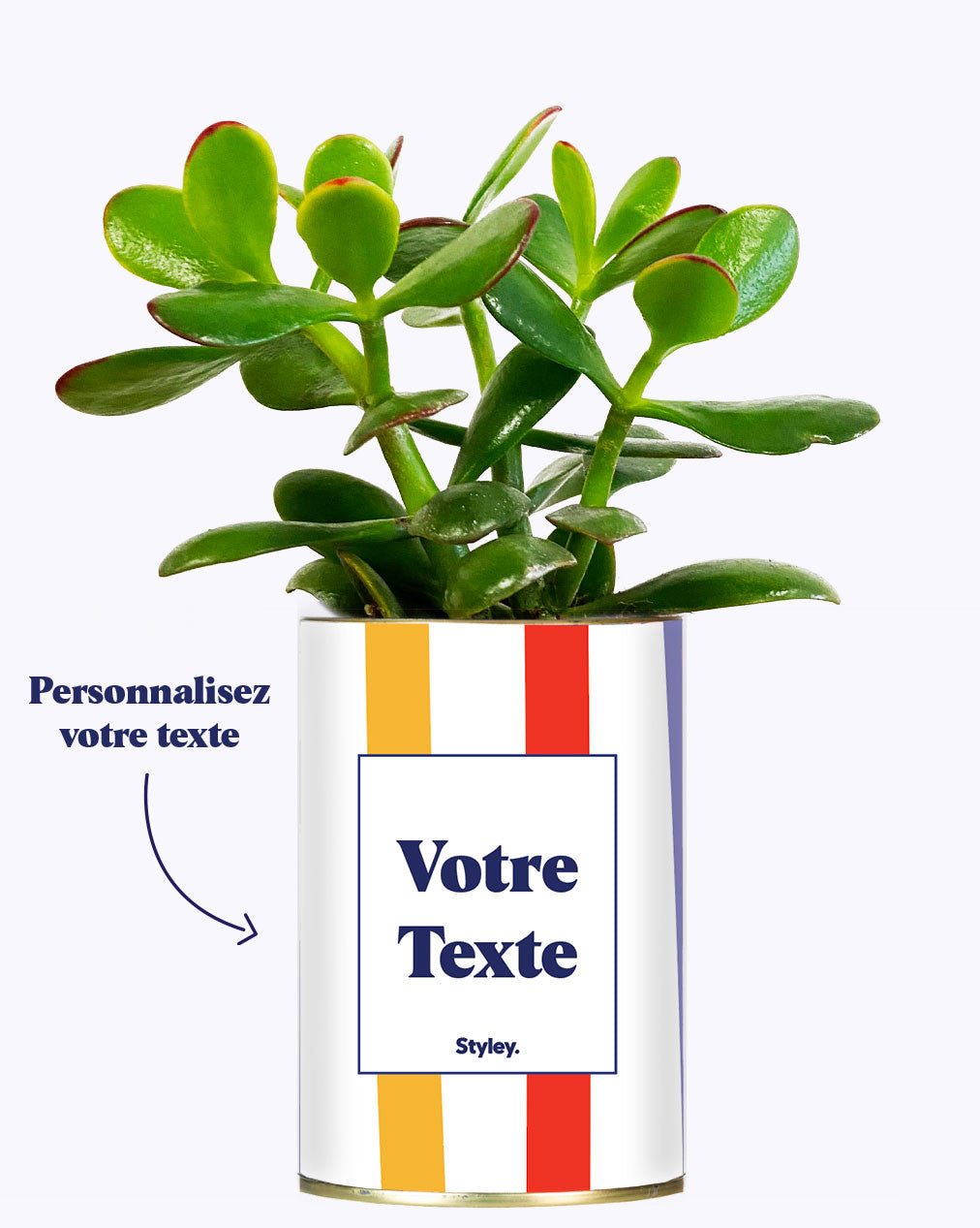Cactus Venise - Personnalisable