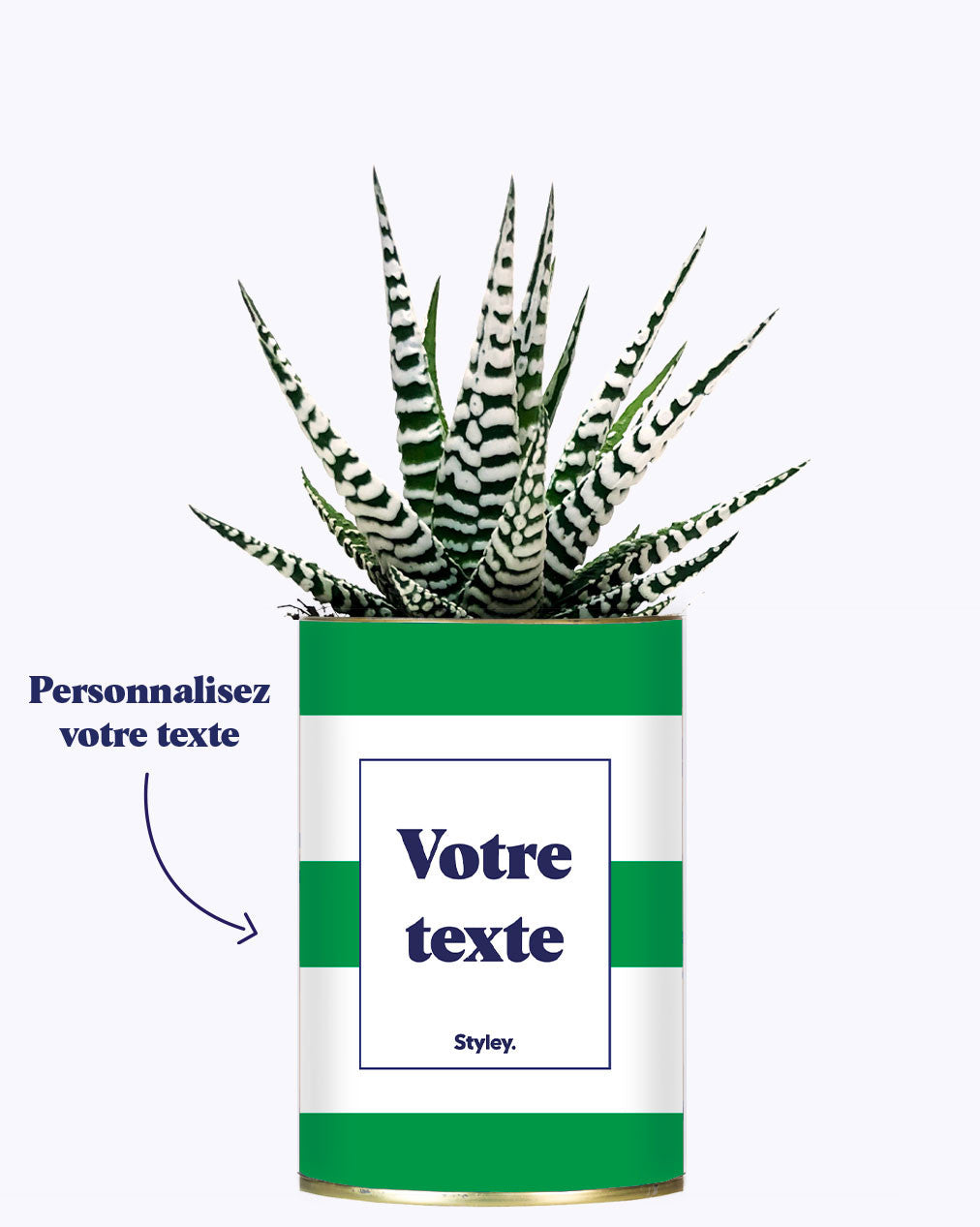 Cactus Mojito - Personnalisable