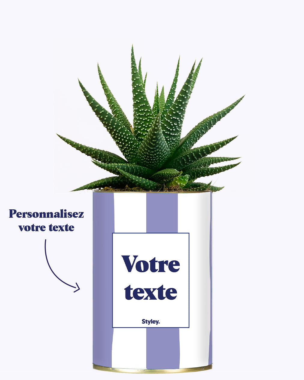 Rayures Parmes - Plante personnalisable