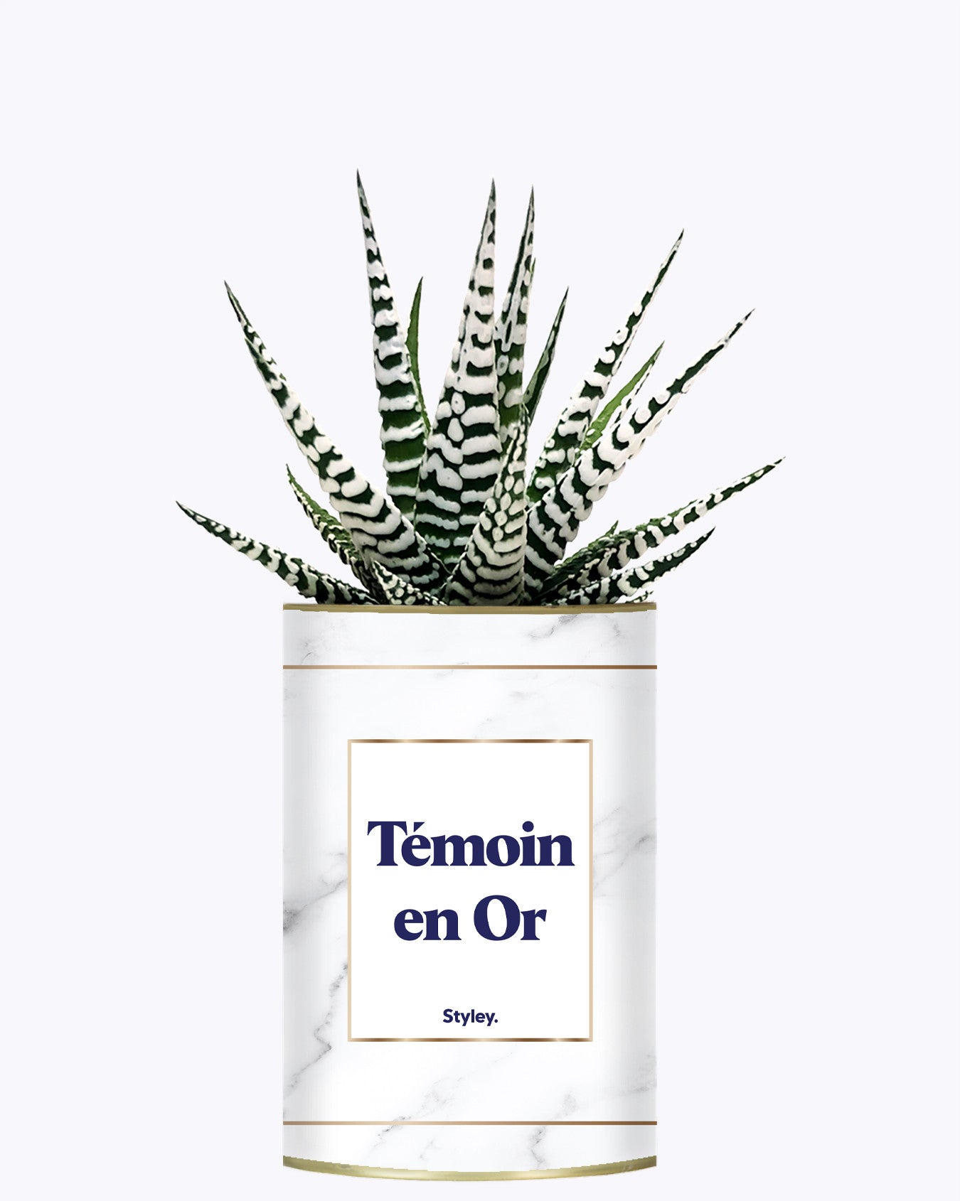 Témoins en Or - Plante