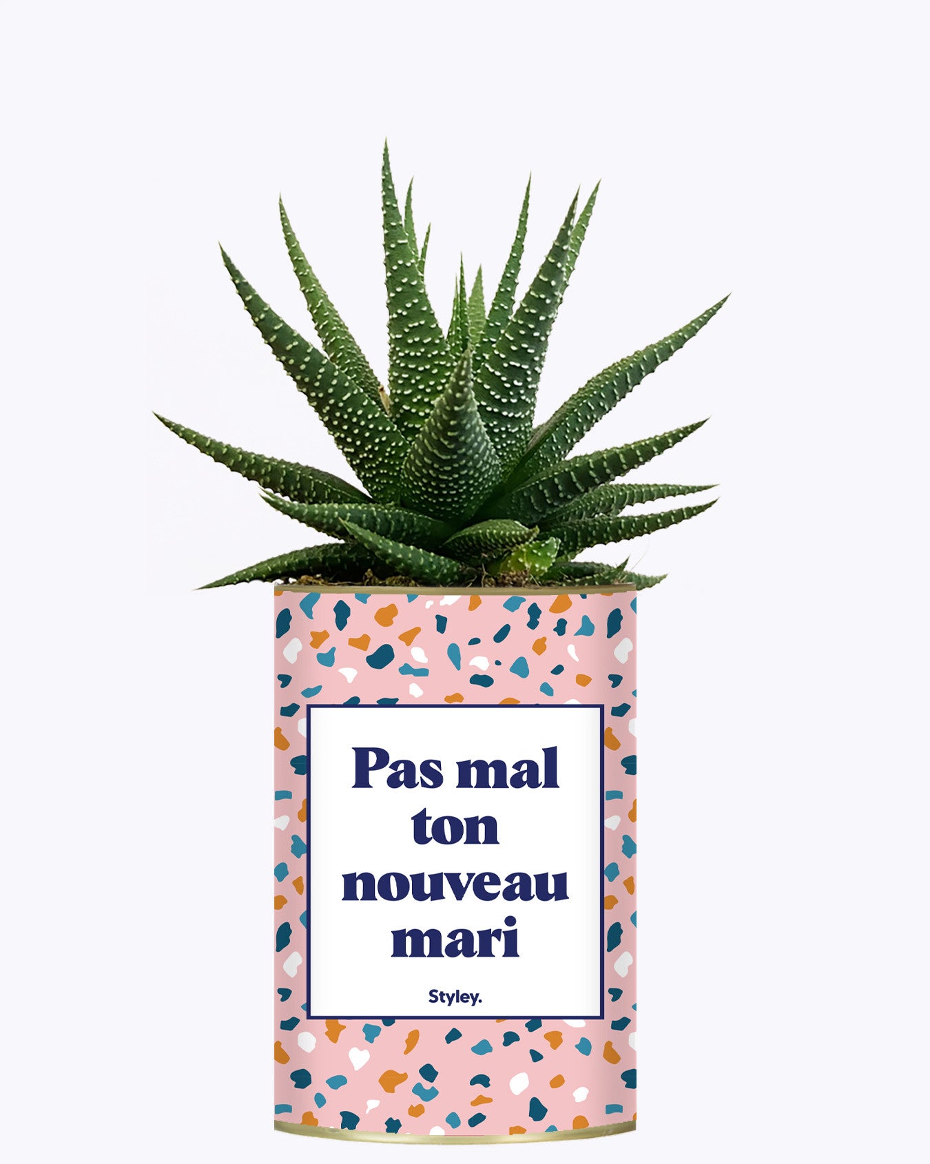 Pas mal ton nouveau mari - Plante