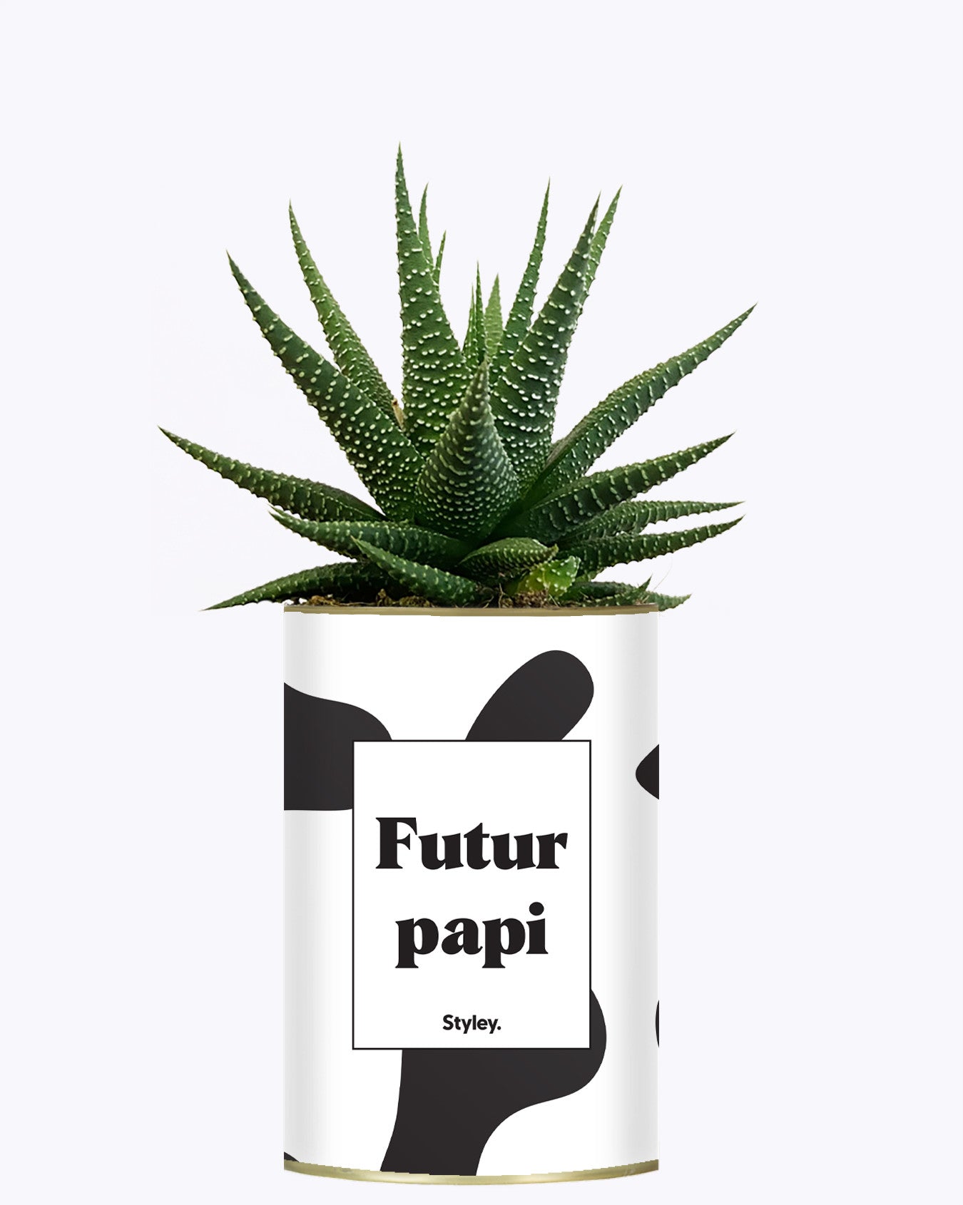 Futur papi - Plante