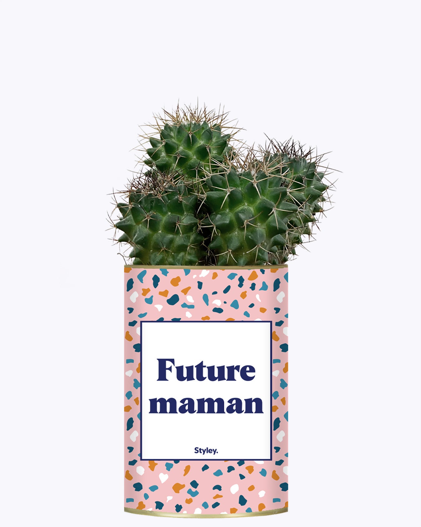 Future maman - Plante