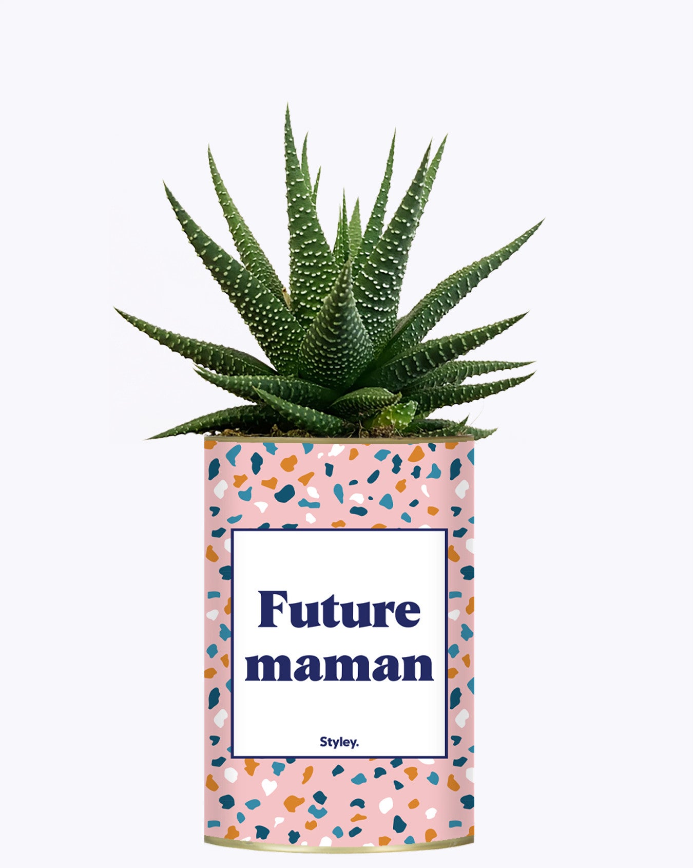 Future maman - Plante