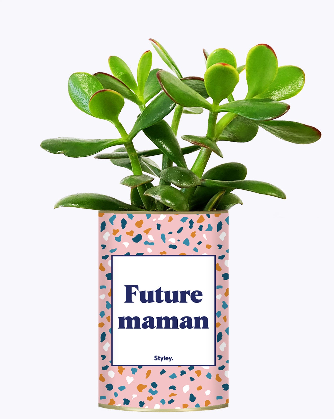 Future maman - Plante