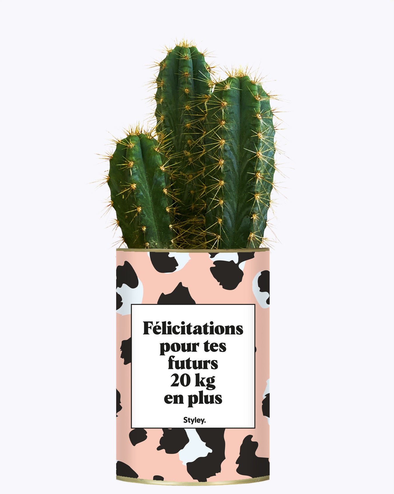 Félicitations pour tes futurs 20kg en plus - Plante