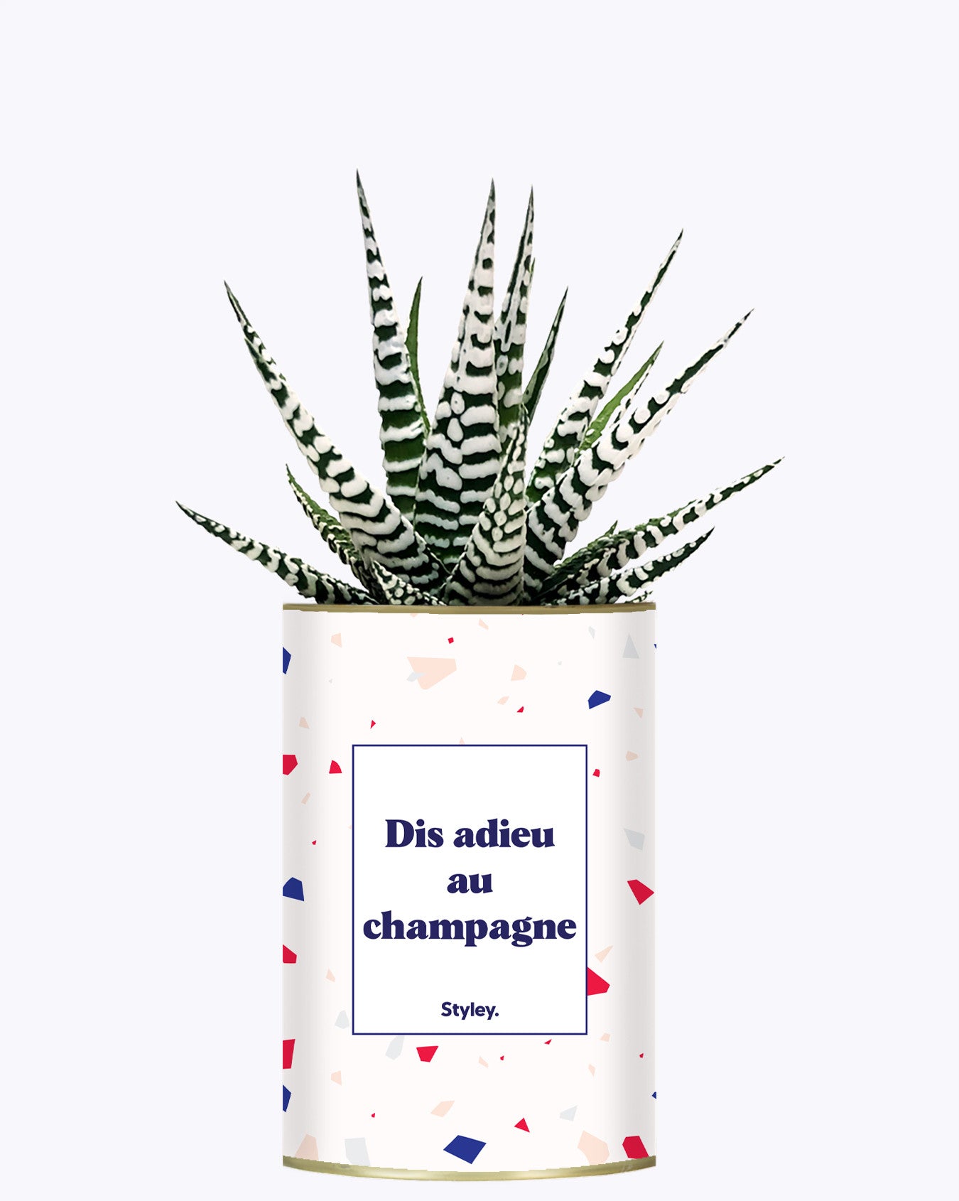 Dis adieu au champagne - Plante