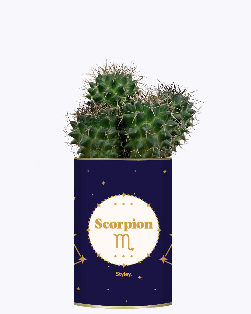 Astrologie - Plante zodiac