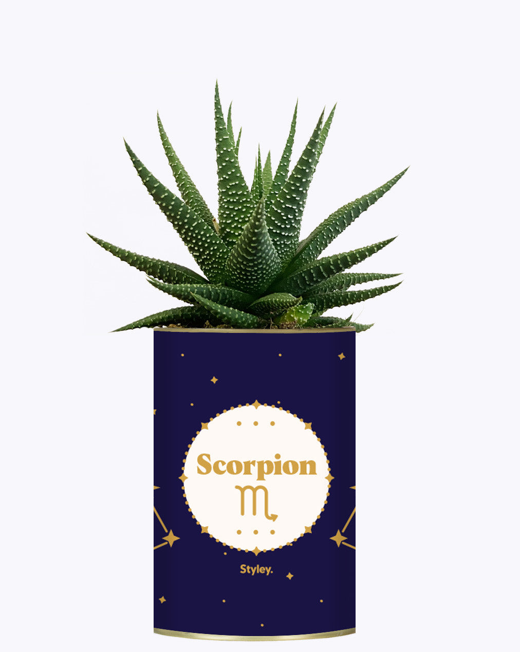 Astrologie - Plante zodiac