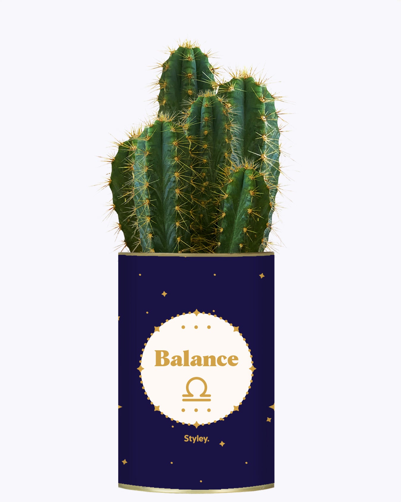 Astrologie - Plante zodiac