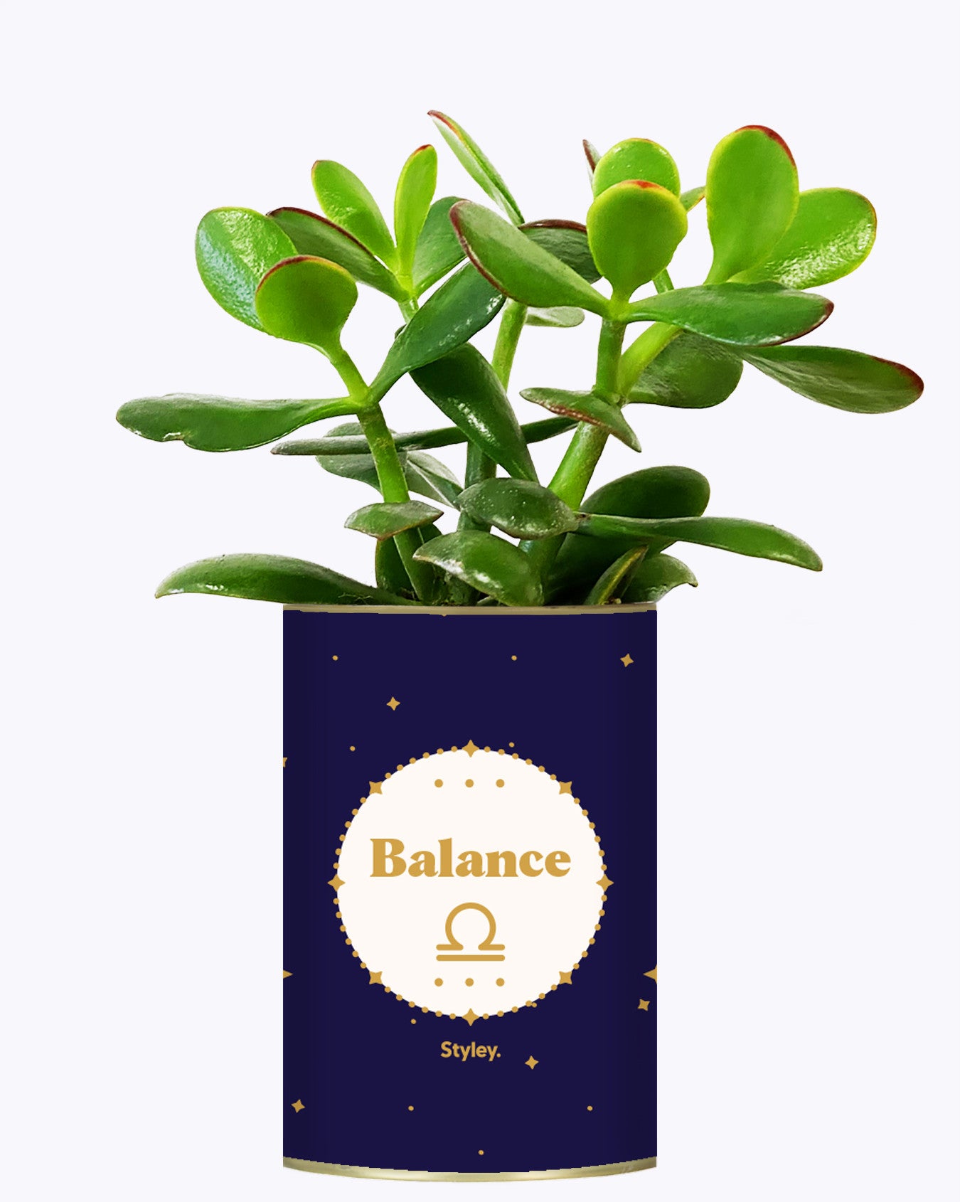 Astrologie - Plante zodiac