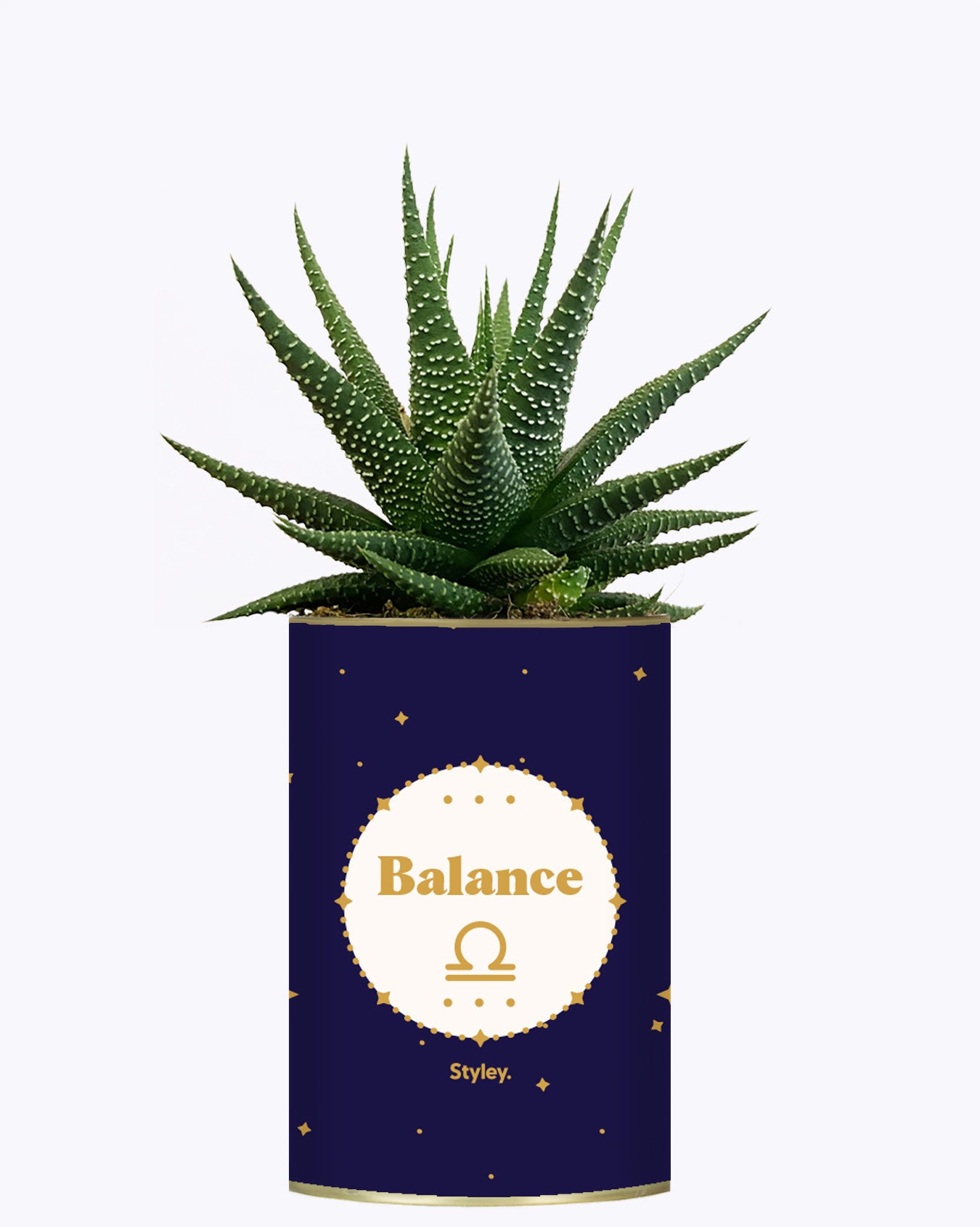 Astrologie - Plante zodiac