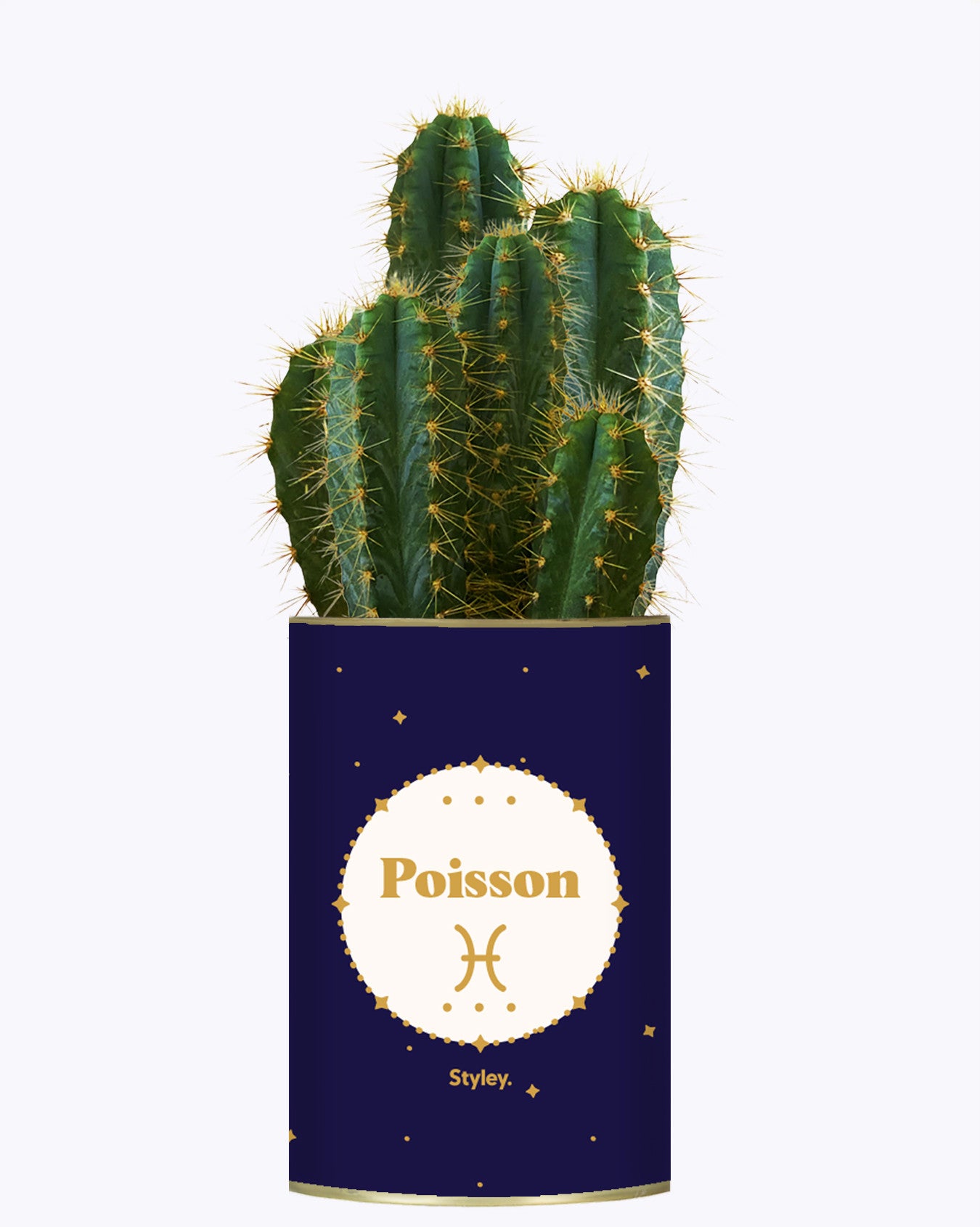 Astrologie - Plante zodiac