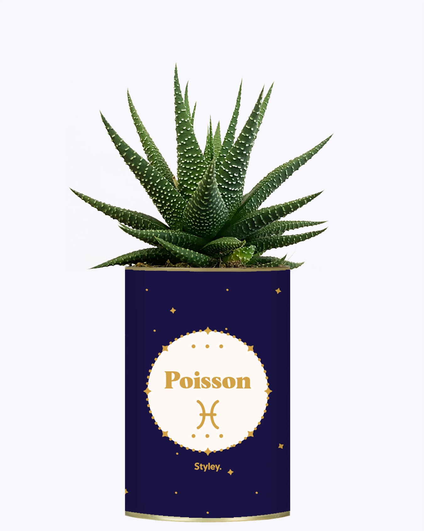 Astrologie - Plante zodiac