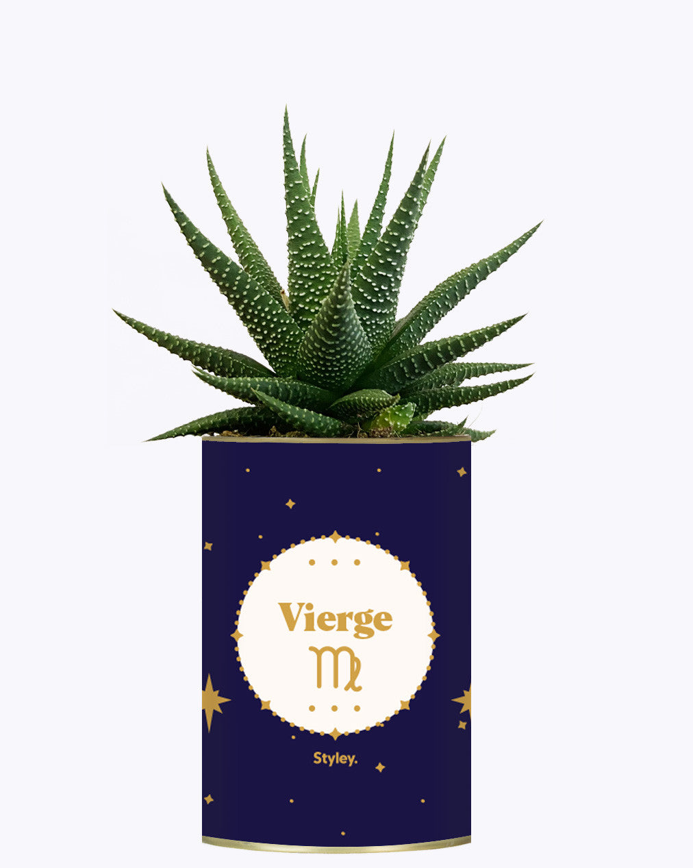 Astrologie - Plante zodiac