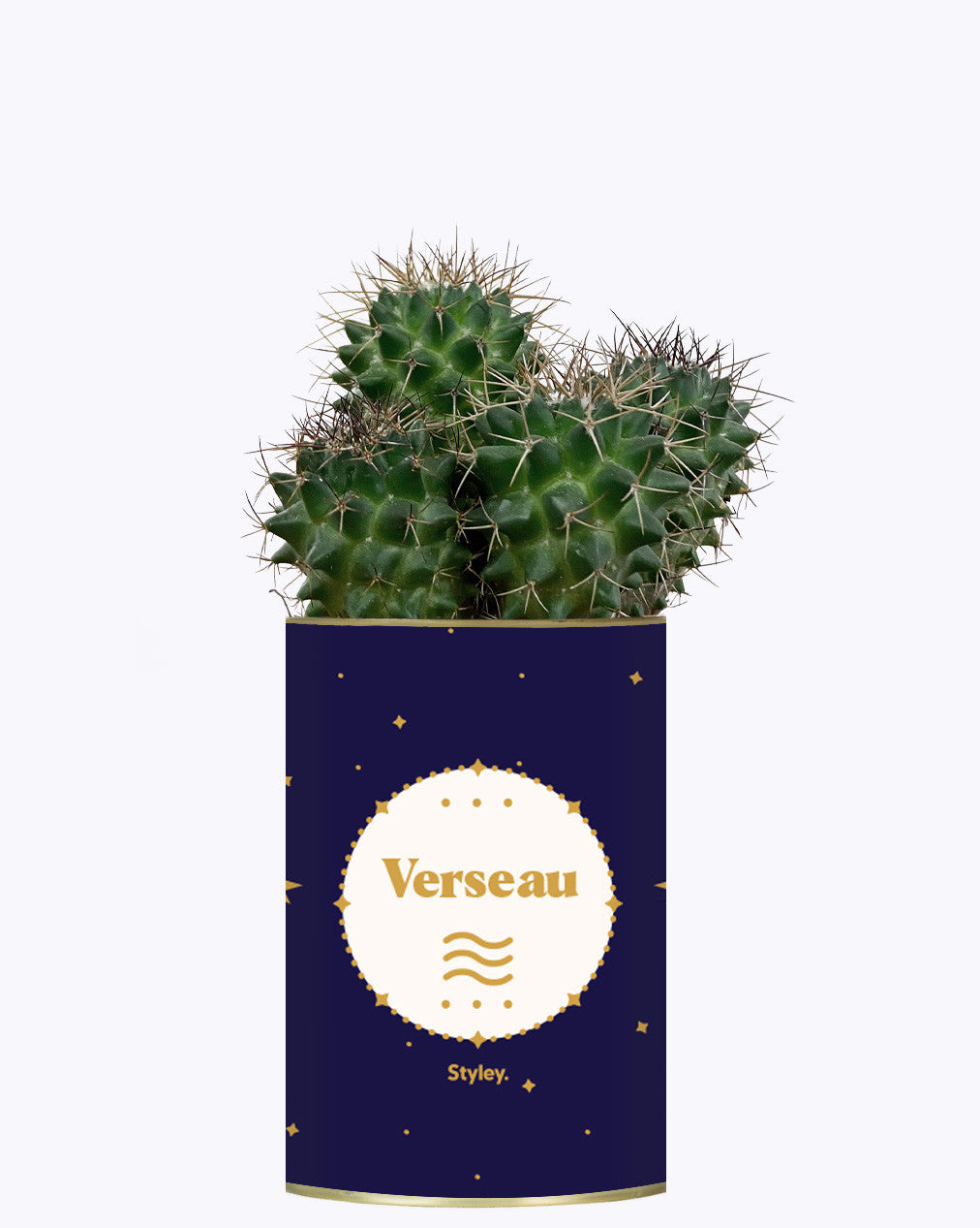 Astrologie - Plante zodiac