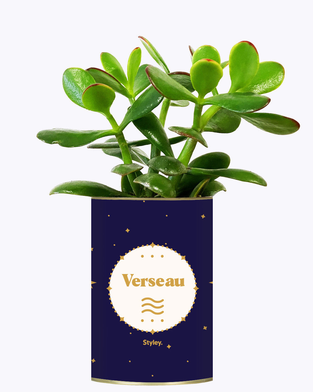 Astrologie - Plante zodiac