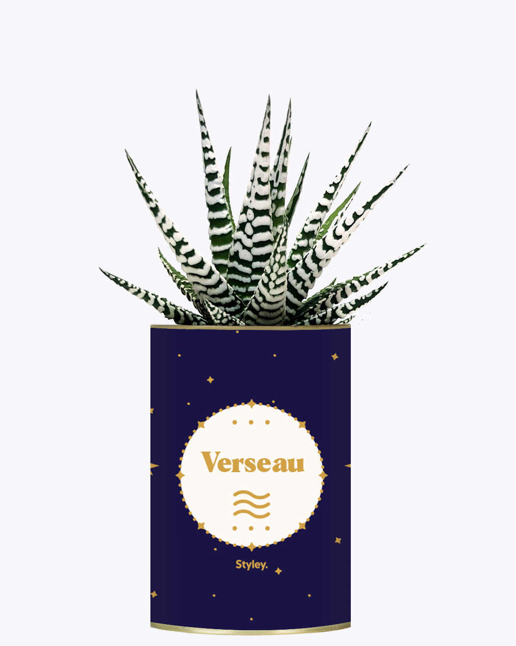 Astrologie - Plante zodiac