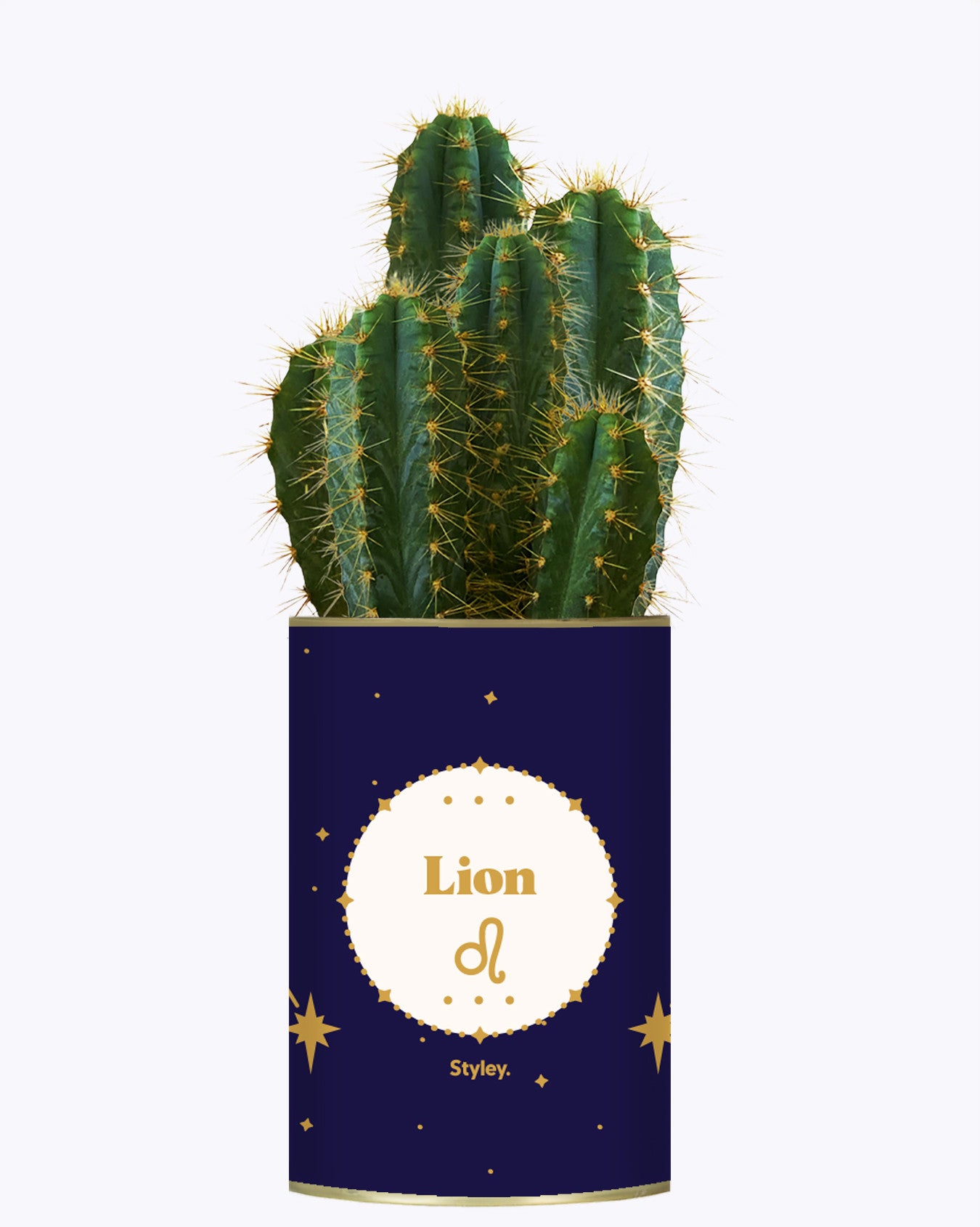 Astrologie - Plante zodiac