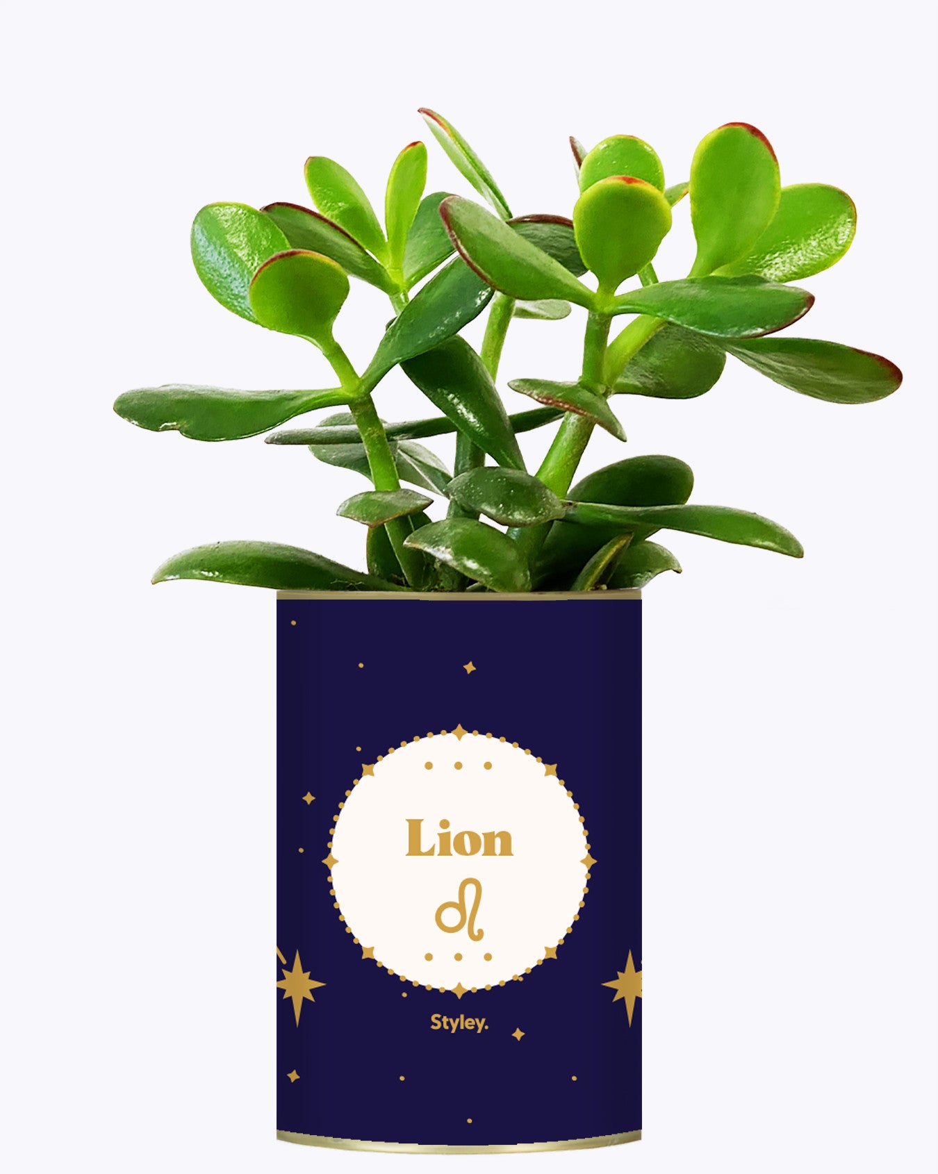 Astrologie - Plante zodiac