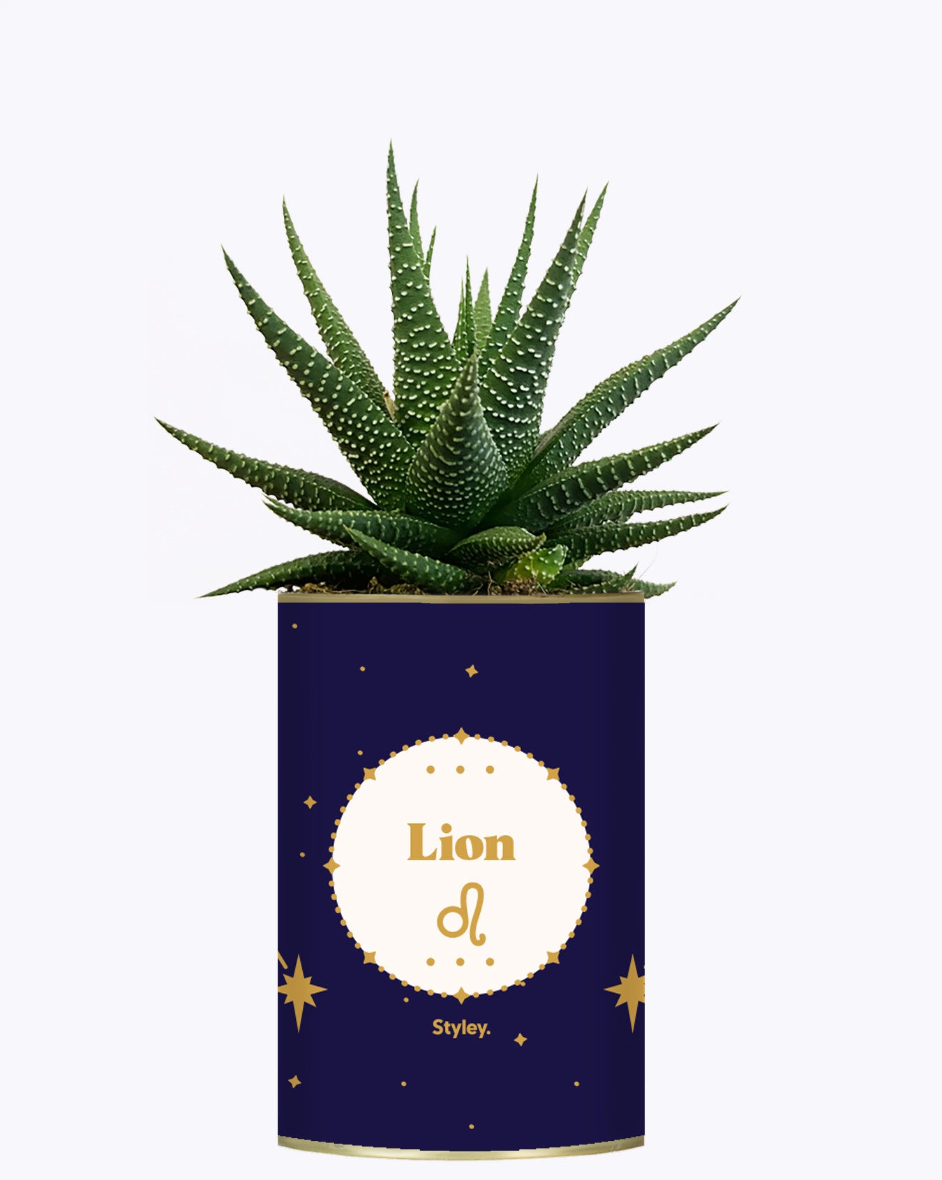 Astrologie - Plante zodiac