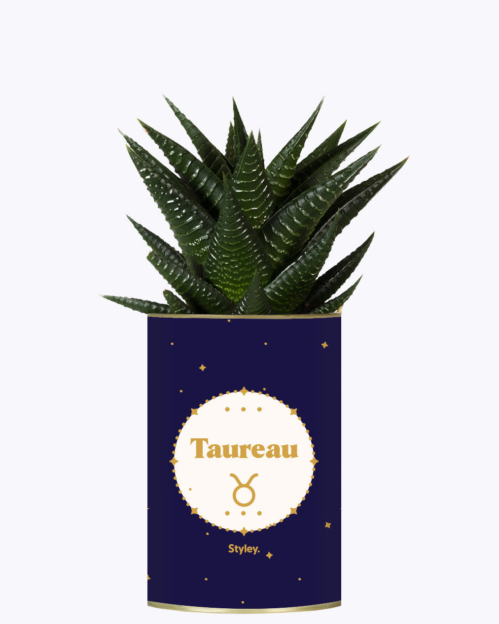 Astrologie - Plante zodiac