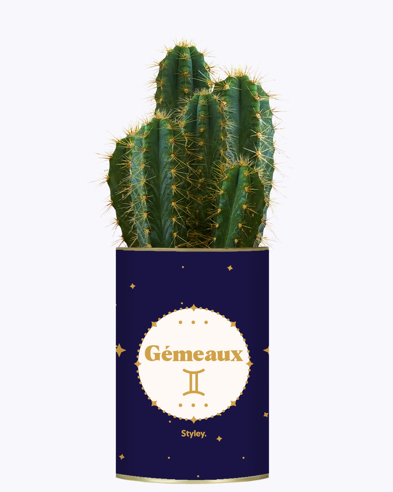 Astrologie - Plante zodiac