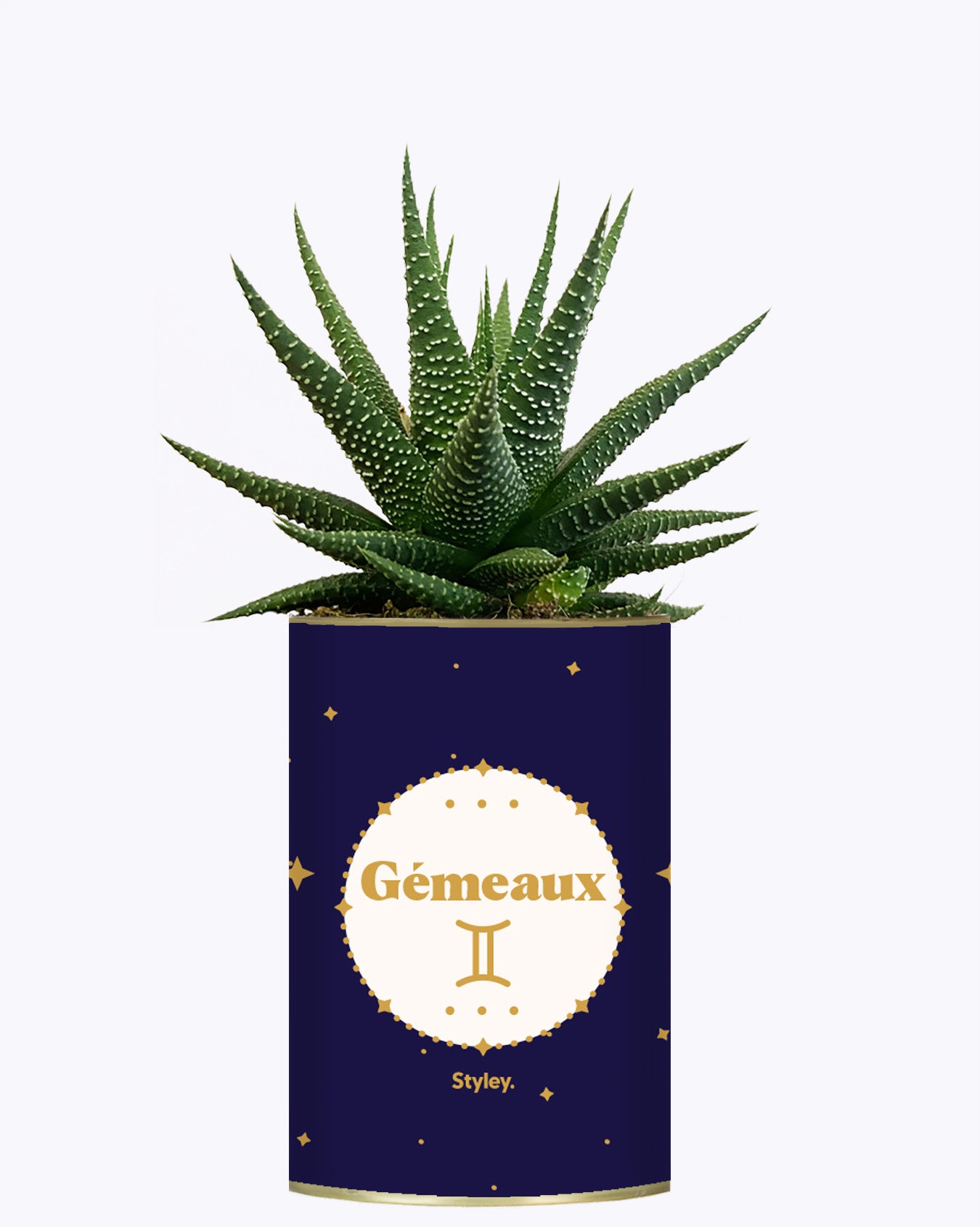 Astrologie - Plante zodiac