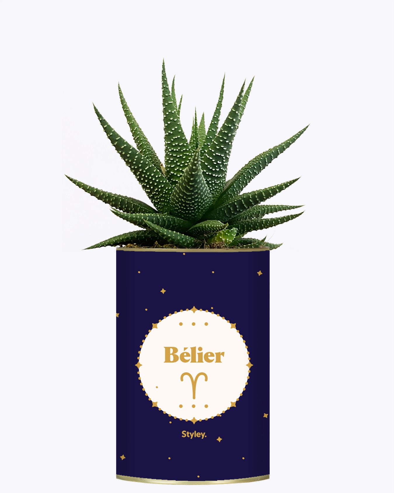 Astrologie - Plante zodiac