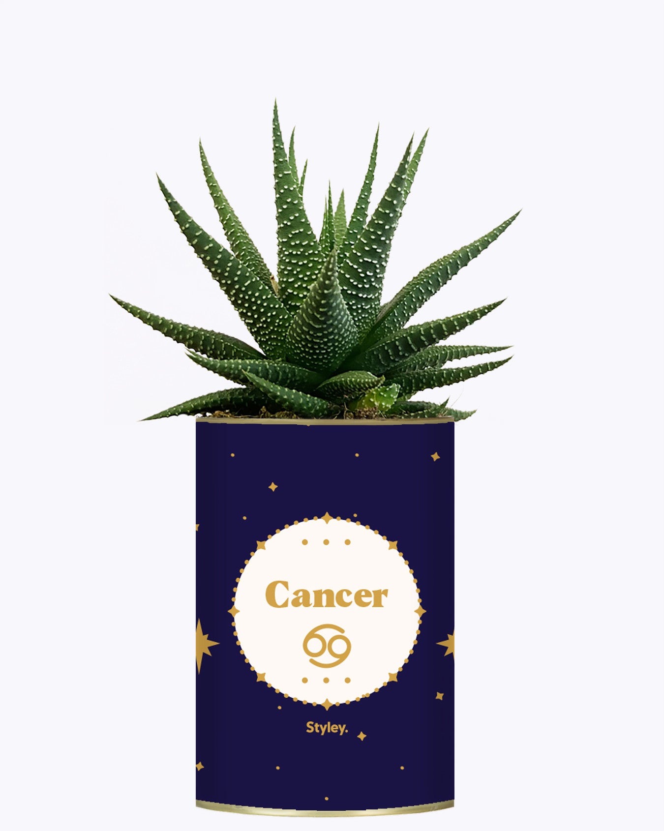 Astrologie - Plante zodiac
