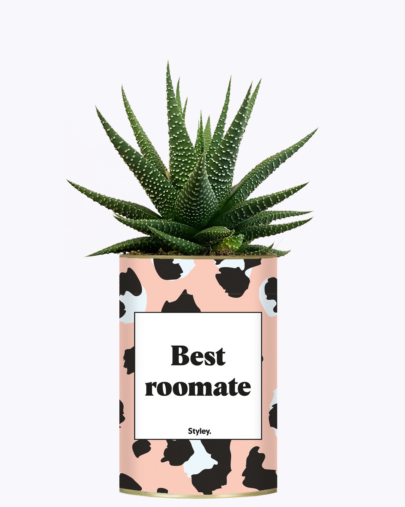 Best Roomate - Cactus