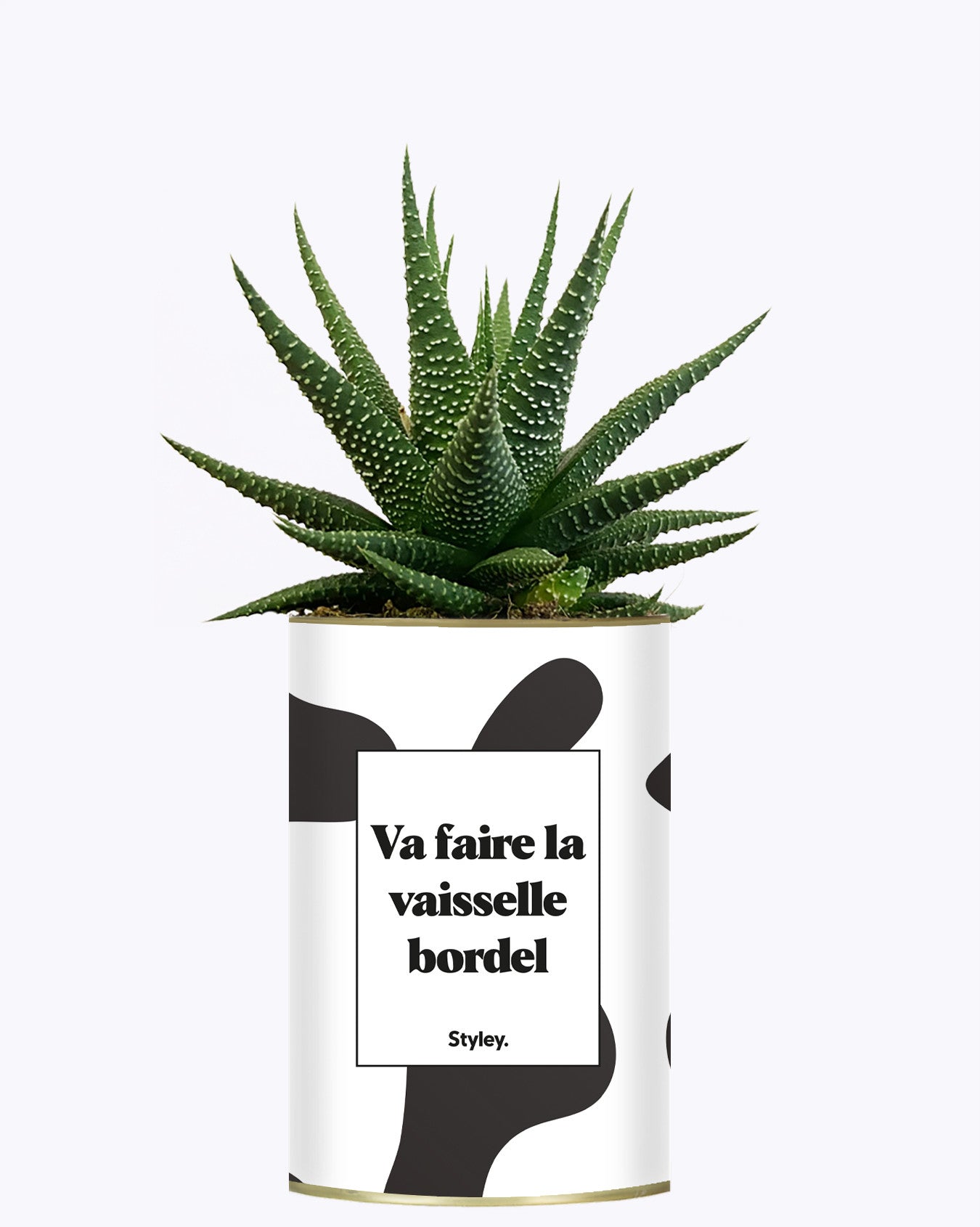 Va faire la vaisselle bordel - Cactus