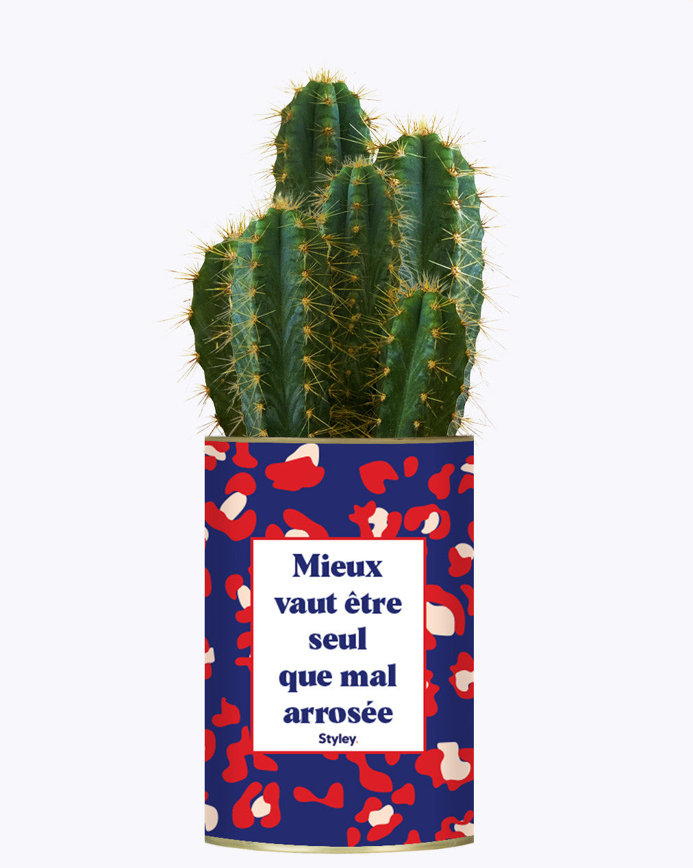 Mieux vaut être seule que mal arrosée - Cactus